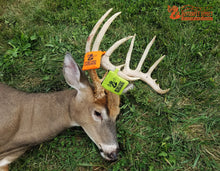 Load image into Gallery viewer, Butterfly Effect Milkweed Wind Indicator